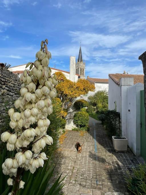 Maison De Charme A La Couarde-Sur-Mer Exterior foto